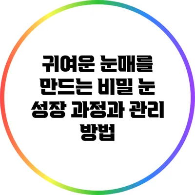 귀여운 눈매를 만드는 비밀: 눈 성장 과정과 관리 방법