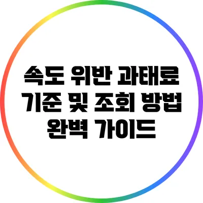속도 위반 과태료 기준 및 조회 방법 완벽 가이드