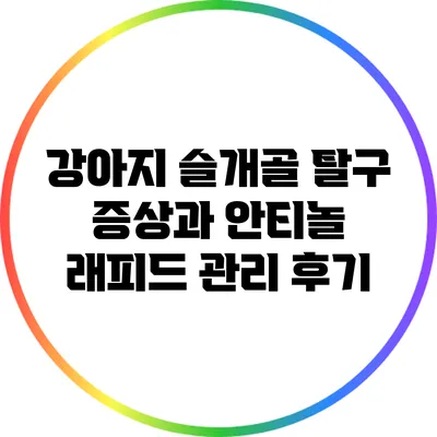 강아지 슬개골 탈구 증상과 안티놀 래피드 관리 후기