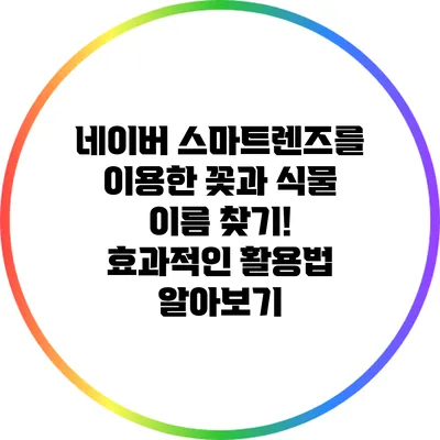 네이버 스마트렌즈를 이용한 꽃과 식물 이름 찾기! 효과적인 활용법 알아보기