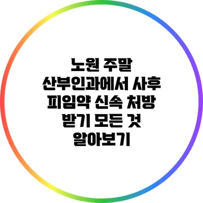 노원 주말 산부인과에서 사후 피임약 신속 처방 받기: 모든 것 알아보기