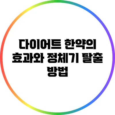 다이어트 한약의 효과와 정체기 탈출 방법