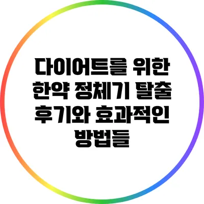 다이어트를 위한 한약: 정체기 탈출 후기와 효과적인 방법들