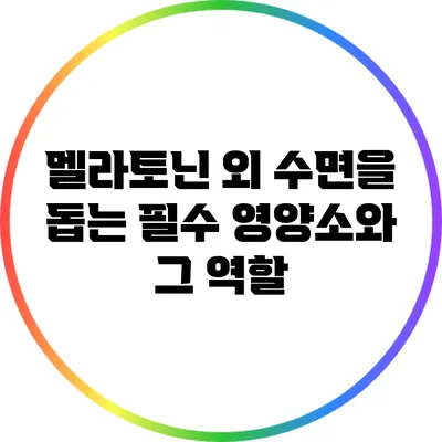 멜라토닌 외 수면을 돕는 필수 영양소와 그 역할