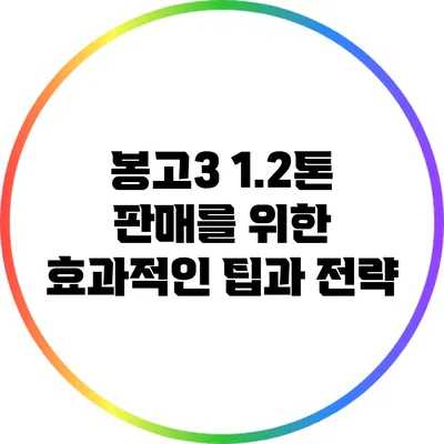 봉고3 1.2톤 판매를 위한 효과적인 팁과 전략