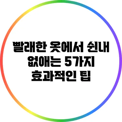 빨래한 옷에서 쉰내 없애는 5가지 효과적인 팁