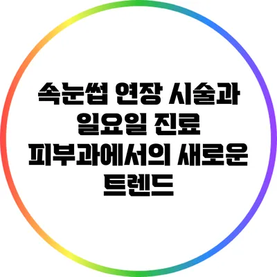 속눈썹 연장 시술과 일요일 진료: 피부과에서의 새로운 트렌드