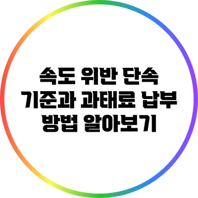 속도 위반 단속 기준과 과태료 납부 방법 알아보기