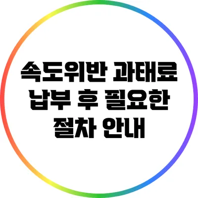 속도위반 과태료 납부 후 필요한 절차 안내