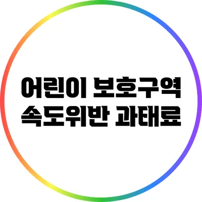 어린이 보호구역 속도위반 과태료