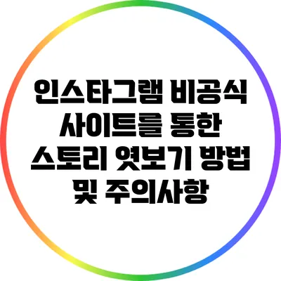 인스타그램 비공식 사이트를 통한 스토리 엿보기 방법 및 주의사항