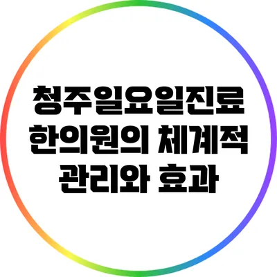청주일요일진료 한의원의 체계적 관리와 효과