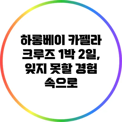 하롱베이 카펠라 크루즈 1박 2일, 잊지 못할 경험 속으로