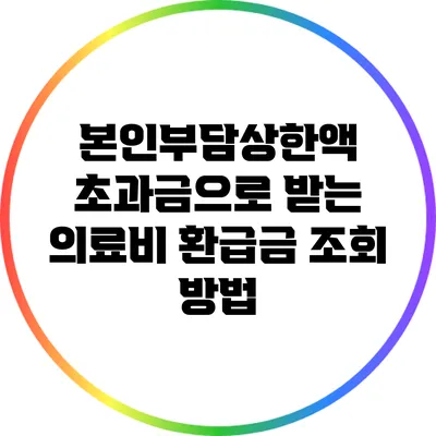 본인부담상한액 초과금으로 받는 의료비 환급금 조회 방법