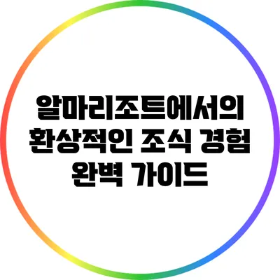 알마리조트에서의 환상적인 조식 경험 완벽 가이드