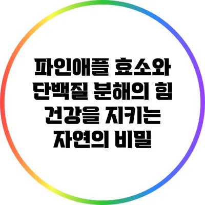 파인애플 효소와 단백질 분해의 힘: 건강을 지키는 자연의 비밀