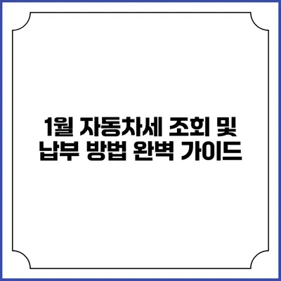 1월 자동차세 조회 및 납부 방법 완벽 가이드