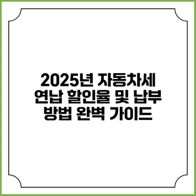 2025년 자동차세 연납 할인율 및 납부 방법 완벽 가이드