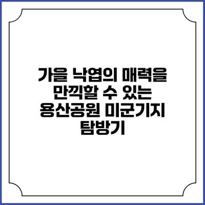 가을 낙엽의 매력을 만끽할 수 있는 용산공원 미군기지 탐방기