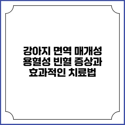 강아지 면역 매개성 용혈성 빈혈: 증상과 효과적인 치료법