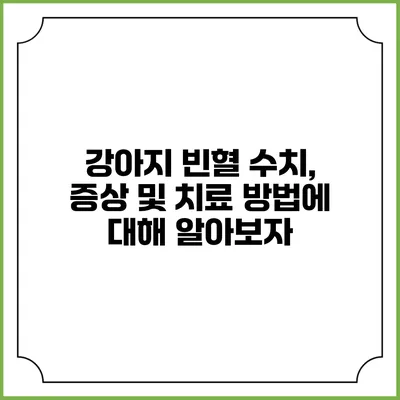 강아지 빈혈: 수치, 증상 및 치료 방법에 대해 알아보자
