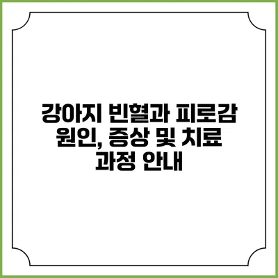 강아지 빈혈과 피로감: 원인, 증상 및 치료 과정 안내