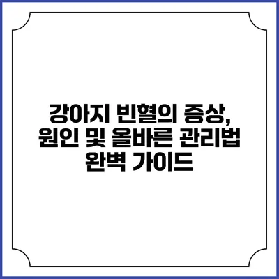 강아지 빈혈의 증상, 원인 및 올바른 관리법 완벽 가이드