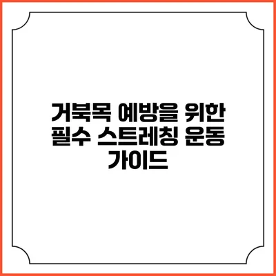 거북목 예방을 위한 필수 스트레칭 운동 가이드
