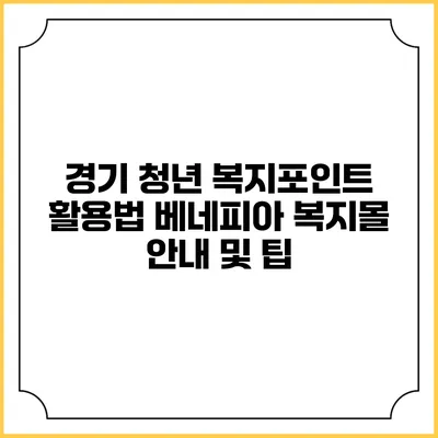 경기 청년 복지포인트 활용법: 베네피아 복지몰 안내 및 팁