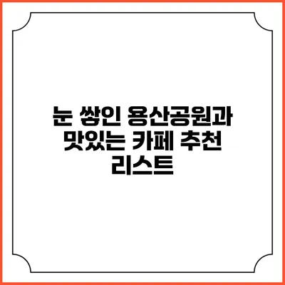 눈 쌓인 용산공원과 맛있는 카페 추천 리스트