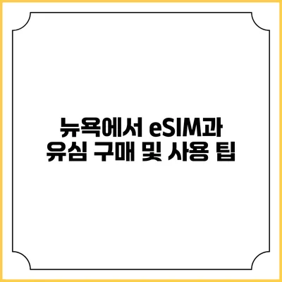 뉴욕에서 eSIM과 유심 구매 및 사용 팁