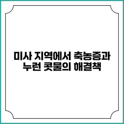 미사 지역에서 축농증과 누런 콧물의 해결책