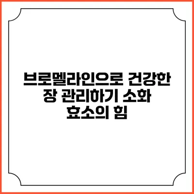 브로멜라인으로 건강한 장 관리하기: 소화 효소의 힘