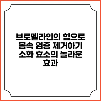 브로멜라인의 힘으로 몸속 염증 제거하기: 소화 효소의 놀라운 효과