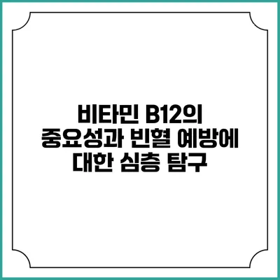 비타민 B12의 중요성과 빈혈 예방에 대한 심층 탐구