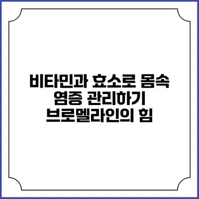 비타민과 효소로 몸속 염증 관리하기: 브로멜라인의 힘