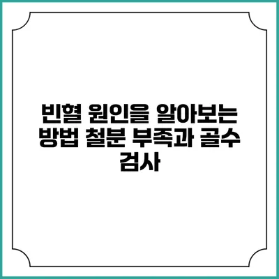 빈혈 원인을 알아보는 방법: 철분 부족과 골수 검사