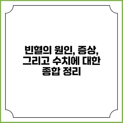 빈혈의 원인, 증상, 그리고 수치에 대한 종합 정리