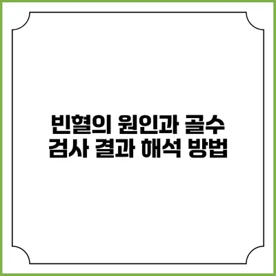 빈혈의 원인과 골수 검사 결과 해석 방법