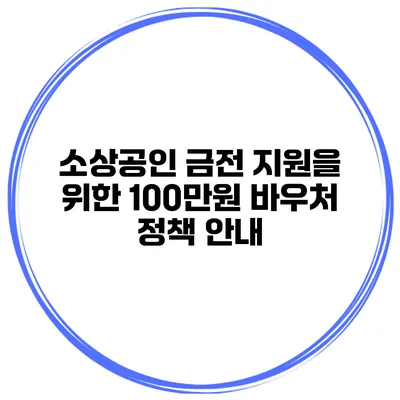 소상공인 금전 지원을 위한 100만원 바우처 정책 안내