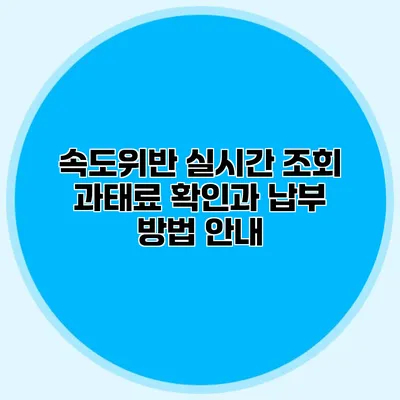 속도위반 실시간 조회: 과태료 확인과 납부 방법 안내