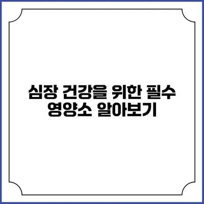 심장 건강을 위한 필수 영양소 알아보기