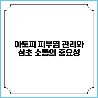 아토피 피부염 관리와 삼초 소통의 중요성