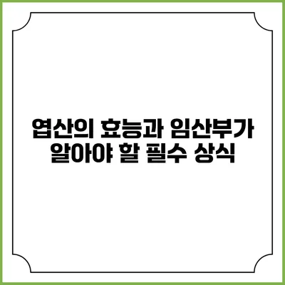 엽산의 효능과 임산부가 알아야 할 필수 상식