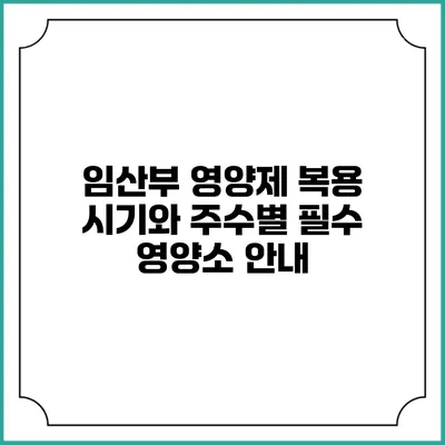 임산부 영양제 복용 시기와 주수별 필수 영양소 안내