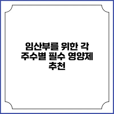 임산부를 위한 각 주수별 필수 영양제 추천