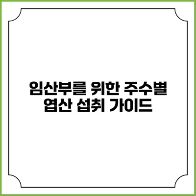 임산부를 위한 주수별 엽산 섭취 가이드