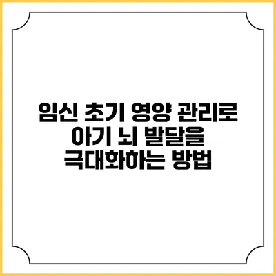 임신 초기 영양 관리로 아기 뇌 발달을 극대화하는 방법