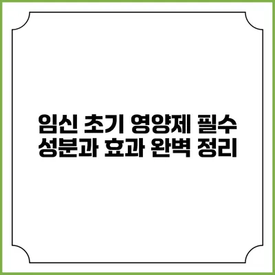 임신 초기 영양제 필수 성분과 효과 완벽 정리