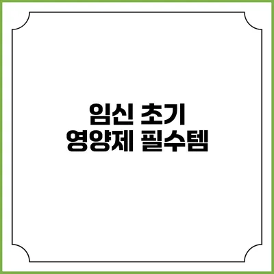 임신 초기 영양제 필수템